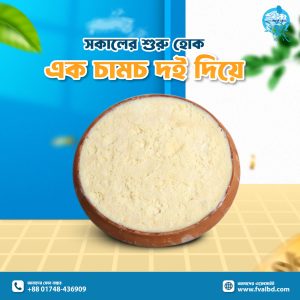 Yogurt (Prepared from own dairy Milk)